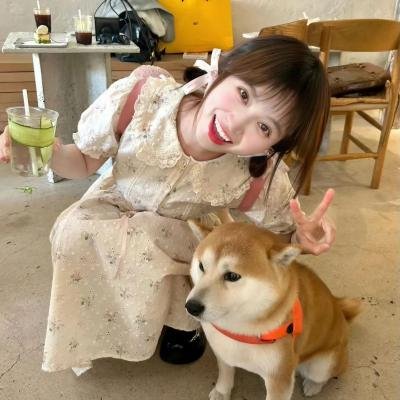 菊石